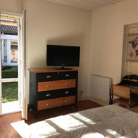 Un paradis de verdure en plein centre ville Périgueux Extérieur photo