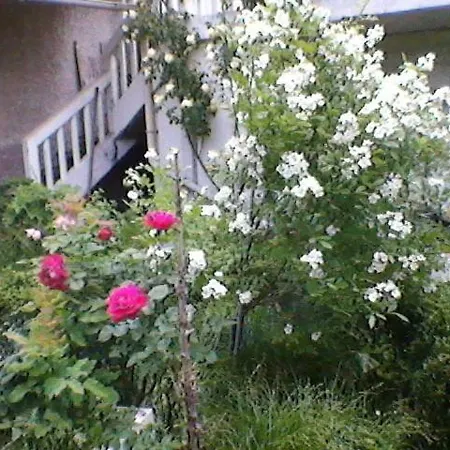 Un paradis de verdure en plein centre ville Périgueux Extérieur photo